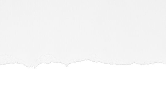 torn and ripped white paper isolated on white or transparent png