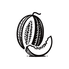 Simple black and white hand-drawn melon icon, minimal vector art