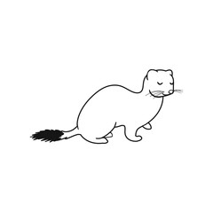 Vector Outline Illustration of Ermine Isolated on White Background