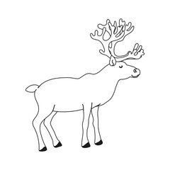 Vector Outline Illustration of Polar Deer Isolated on White Background