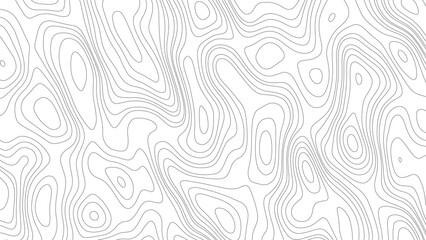 Fototapeta premium Topography background. Vector banner. Topography background. Vector geographic contour map. Topographic map background geographic line map with elevation assignments. 