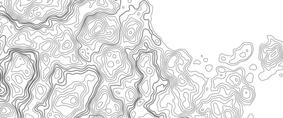 Topographic map background. Geographic line map with elevation assignments. Contour background geographic grid.  abstract wavy background. topographic contour background. Vector illustration.