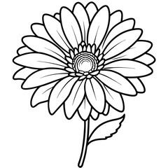 Fototapeta premium white daisy flower
