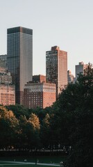 Obraz premium Cityscape sunset, park view, buildings, trees, relaxing