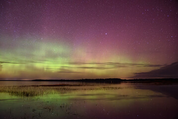 Vibrant northern lights dance across a starry night sky, reflecting on a calm lake with grassy reeds in the foreground.