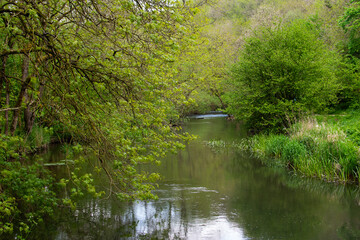 Exploring the landscapes and forests in the Dovedale valley in the Peak District of England.