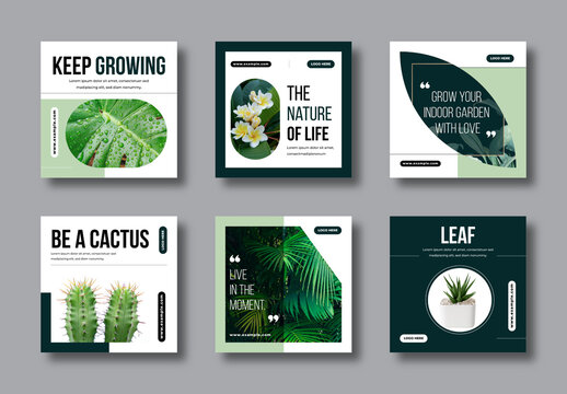 Botanical Social Media Post Nature Inspired Elegant Design