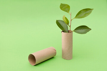 Environmentally Friendly Energy Concept, small Plant Growing from a Recycled Toilet Paper Roll and an empty roll on a Green Background