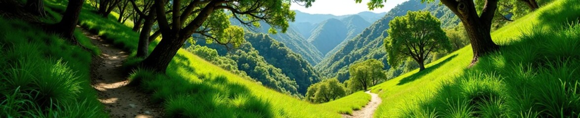 Obraz premium Lush greenery along the scenic Jesusita Trail in San Roque Canyon, Santa Barbara, mountain, wilderness