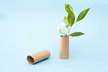 green Leaves and lightbulb Growing from Recycled empty toilet Paper Roll on Blue Background, Green Energy and sustainability Concept