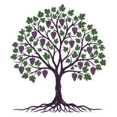 Grape Tree Illustration