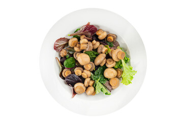 Champignon salad green lettuce canned mushrooms fresh delicious gourmet food background on the table rustic food top view copy space keto and paleo diet vegetarian and vegan food