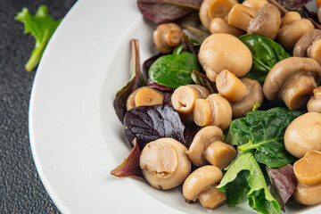 Champignon salad green lettuce canned mushrooms fresh delicious gourmet food background on the table rustic food top view copy space keto and paleo diet vegetarian and vegan food
