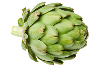 Green globe artichoke isolated on black background, cut out