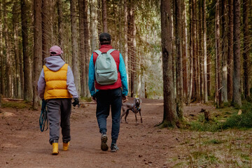 Obraz premium A couple of tourists walking in the forest with a dog