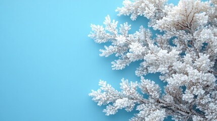 Frosty branches on a light blue background. Winter aesthetic