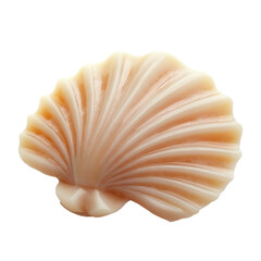 beautiful seashell with unique shape showcasing intricate details  isolated on white transparent background