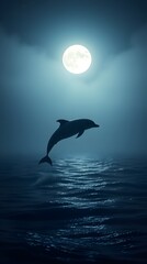 Fototapeta premium dolphin jump in the moonlight