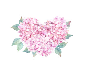 Watercolor heart shaped hydrangea. Hand drawn isolated illustration on white background
