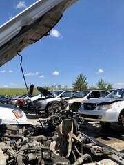 Cars sitting in a vast junk yard
