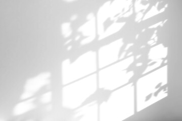 Obraz premium shadow overlay effects of realistic window and tree branch shadow with light blur on transparent background,Summer sunlight and shadow overlay effect