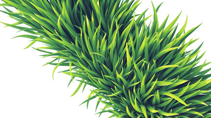 green grass isolated on transparent background