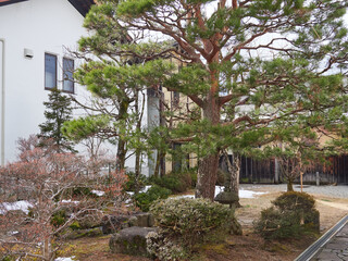 観光名所岐阜高山の古い町並みの伝統的な建物の風景