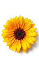 Naklejka premium exquisite fall yellow sunflower with delicate, intricately ruffled petals and a vibrant, soft brown color that gradates to a deeper hue towards the center, a surreal, ethereal atmosphere. 