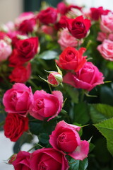 A beautiful bouquet of roses in various shades of pink and red.