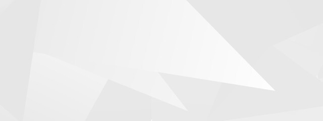 Obraz premium Abstract geometric white and gray pattern with subtle triangular shapes.
