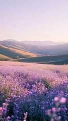 Peel and stick wall murals Spring flower field landscape wallpaper flowers fields skies.