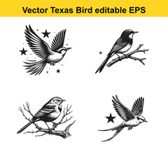 Vector birds, the Texas state birds, sitting, flying, and standing 