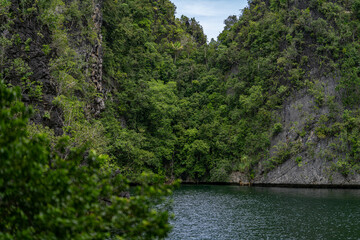 Thick tropical jungle surrounding a narrow cove of emerald waters in Raja Ampat