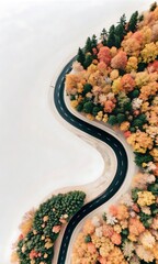 Vista aérea de un camino sinuoso a través de un denso bosque otoñal, que muestra un follaje otoñal vibrante en colores ricos y cálidos.