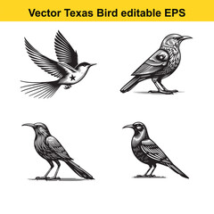 Fototapeta premium Vector birds, the Texas state birds, sitting, flying, and standing 