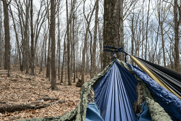 POV laying in a hammock in the woods or forest taking in the beauty and relaxation of nature.