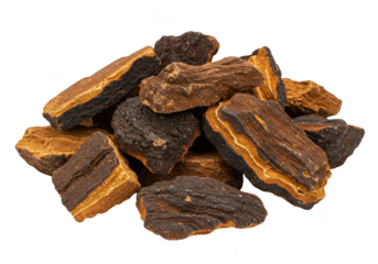 A pile of dried Chaga mushroom pieces with dark brown and orange hues isolated on transparent background
