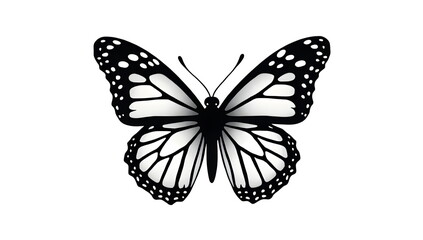 butterfly isolated on white background generative Ai
