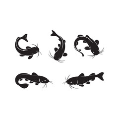 Fototapeta premium A vector illustration of a full black catfish silhouette sets on white background