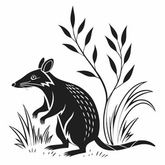 Bandicoot black silhouette icon vector
