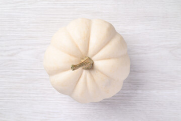 White Jack be little pumpkin on white background, Top view