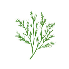 Flat 2D illustration of a dill branch isolated on a white background, vector 2D design, icon, EPS format illustration, Simple flat 2d illustration art. 