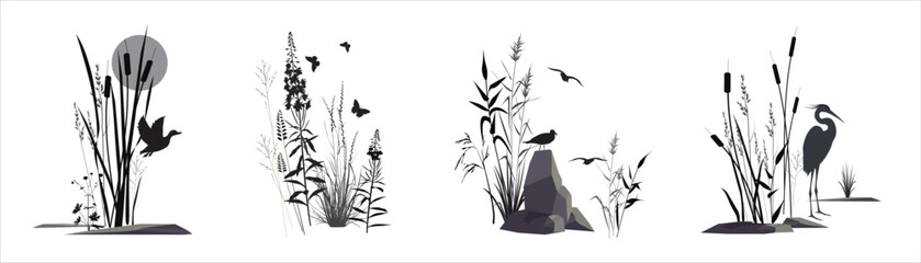 Swamp plants, stones, wild flowers and field herb thickets - cereal grass, reed, cane, cattail, buttercup and seagull bird, heron, duck, butterflies. Monochrome silhouette landscape isolated drawings.
