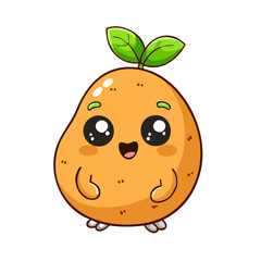 vector illustration of an orange