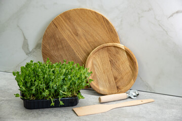 Wooden dishes near sprouted green. Concept of sustainable lifestyle