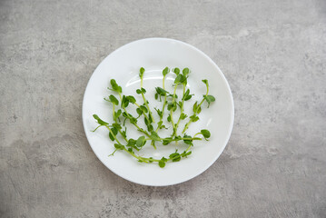 Peas sprouted on a plate. Healthy food