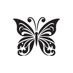 black and white butterfly