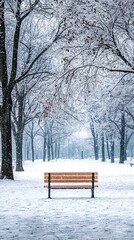 Park Bench Covered in Snow on a Winter Day Under Trees
