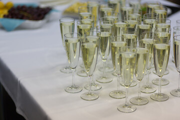 There are numerous glasses filled with champagne placed on the table