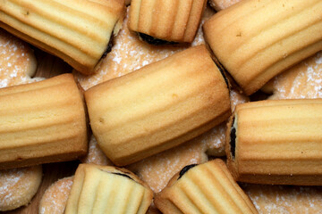 Sweet delight of assorted baked treats at a cozy gathering in the afternoon sun